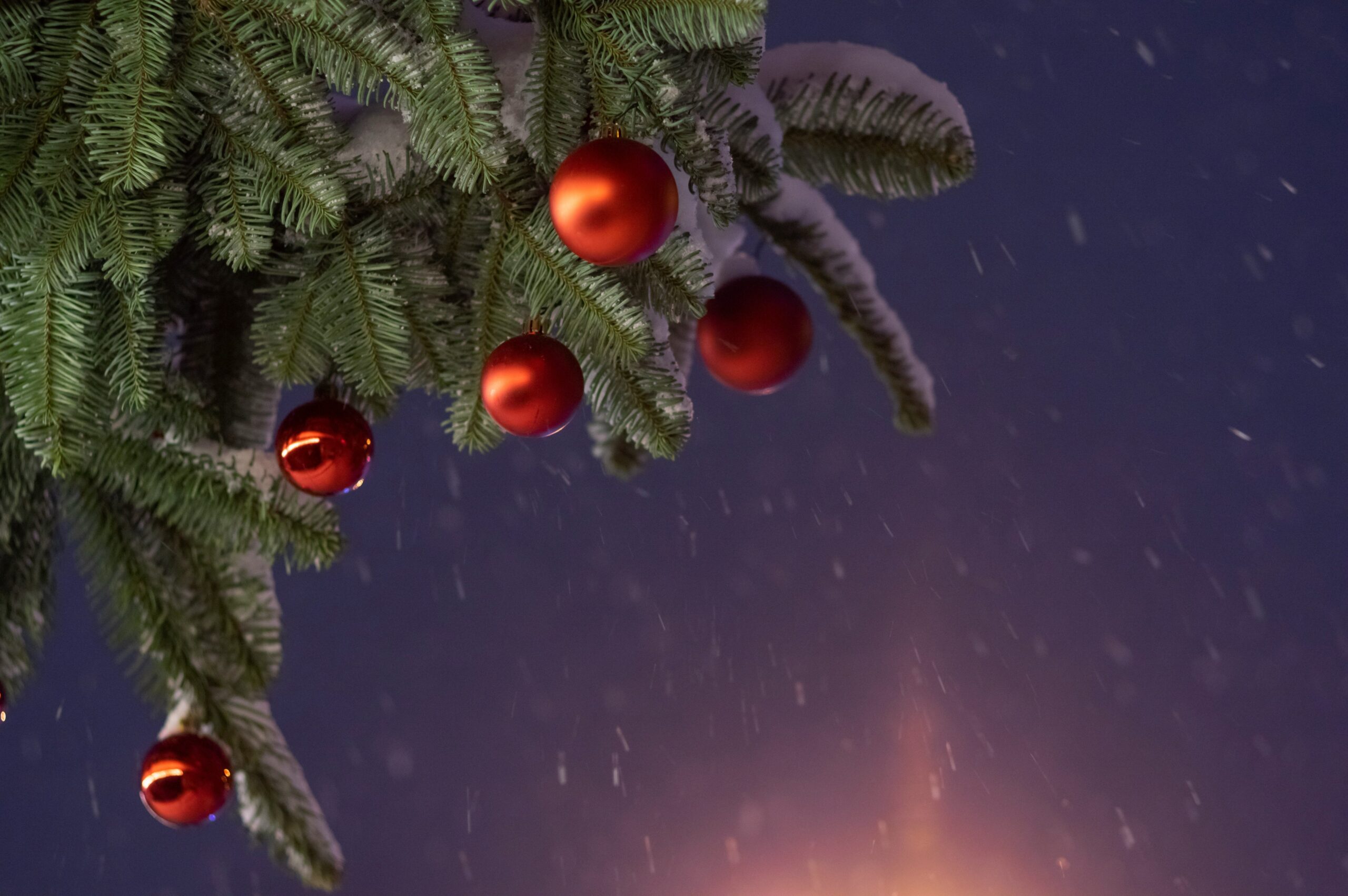 A chart showing player interest spikes during seasonal updates