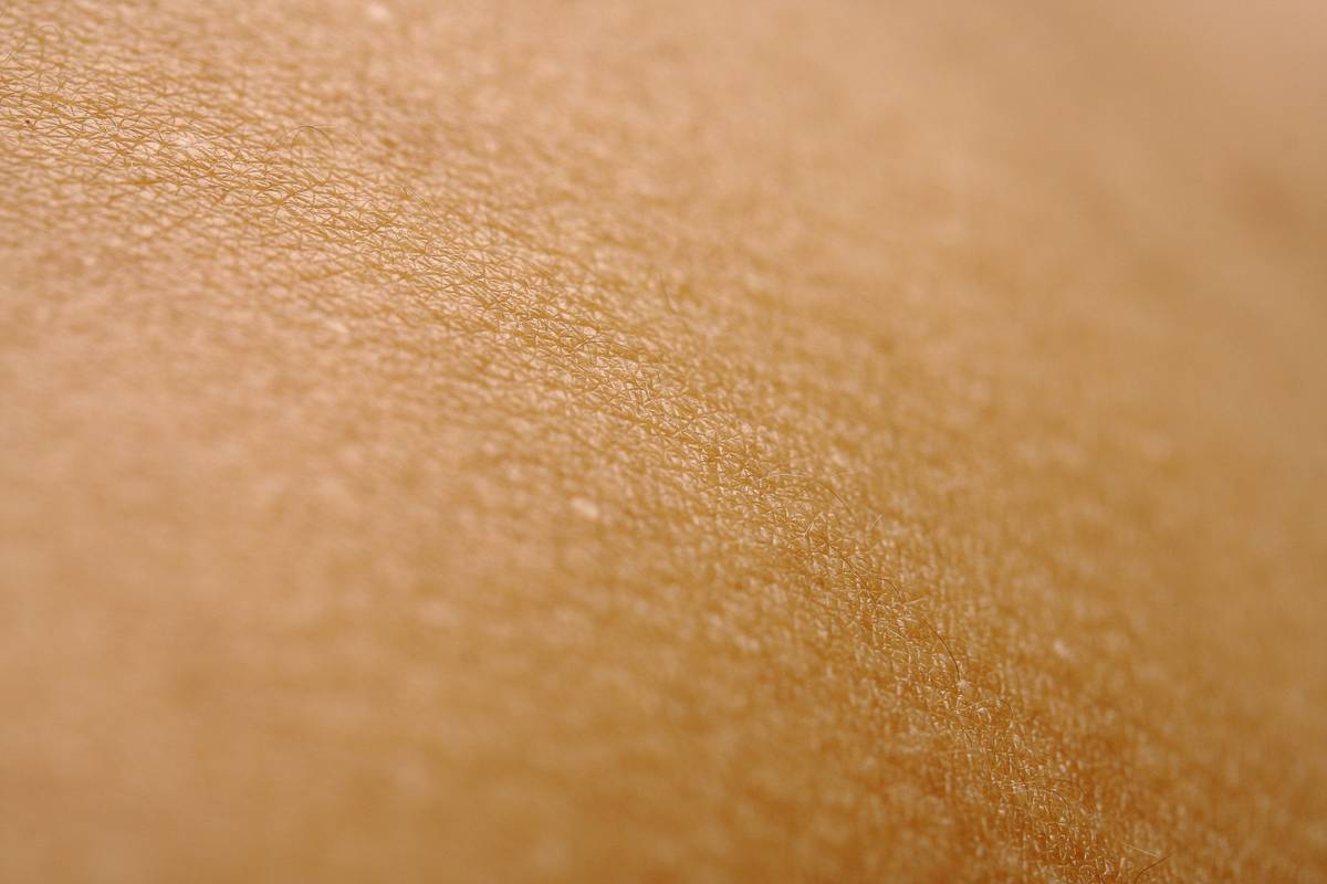 Screenshot of a graphic design software highlighting skin tone selection options